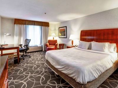 Hilton Garden Airport 3*